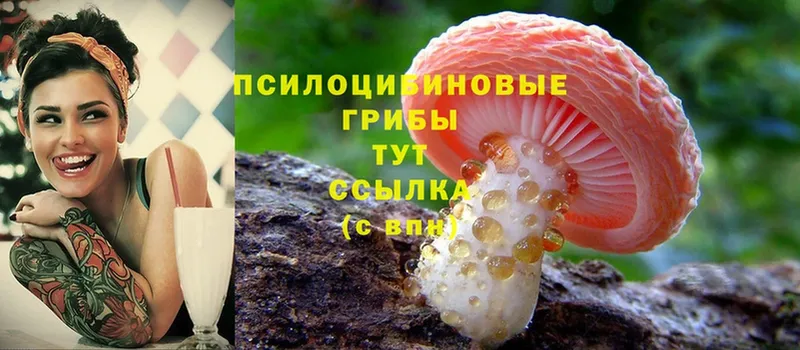 Галлюциногенные грибы MAGIC MUSHROOMS Кукмор